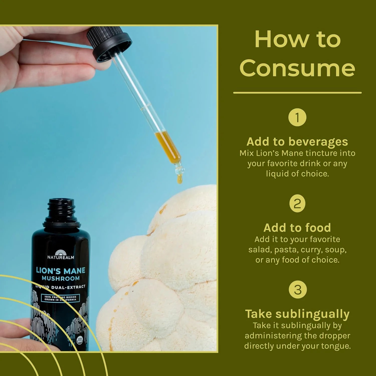 Lions Mane Liquid Tincture - Organic Memory and Focus Supplement, 50 Ml